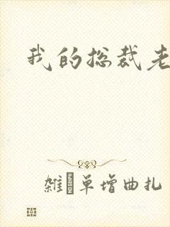 我的总裁老妈