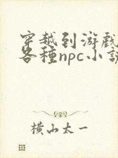 穿越到游戏里和各种npc小说