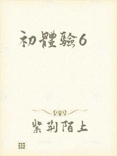 初体验6封面