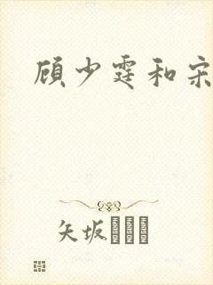 顾少霆和宋斯曼