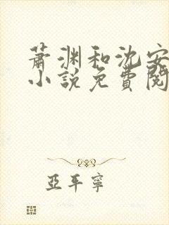 萧渊和沈安安的小说免费阅读