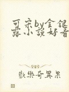 可宋by金银花露小说好看吗