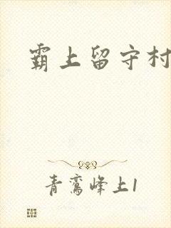 霸上留守村妇