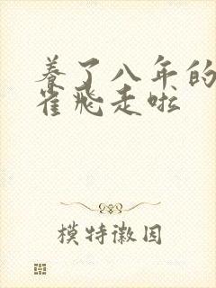 养了八年的金丝雀飞走啦