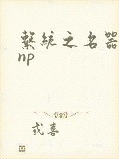 系统之名器攻略np
