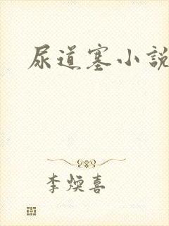 尿道塞小说