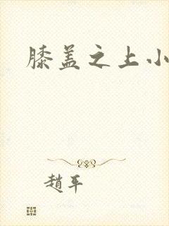 膝盖之上小说封面