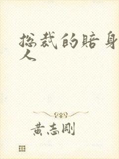 总裁的赔身小情人封面