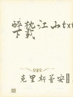 醉枕江山txt下载封面