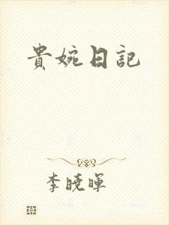 贵婉日记封面