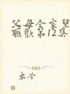 父母全家儿女大联欢第12集封面