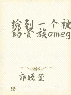 捡到一个被抹布的贵族omega封面