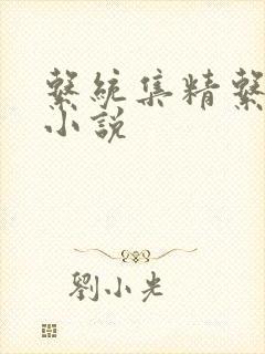 系统集精系统 小说