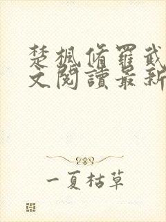 楚枫修罗武神全文阅读最新封面