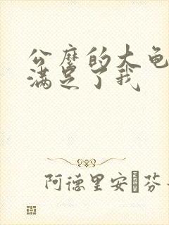 公么的大龟强大满足了我