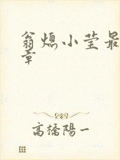 翁熄小莹最新节章封面