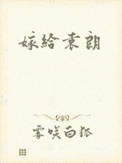 嫁给袁朗