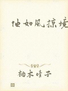 他如风掠境封面