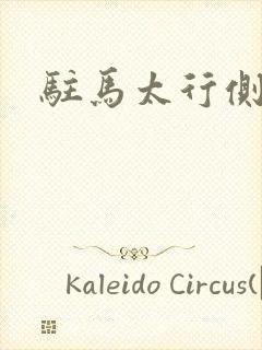 驻马太行侧