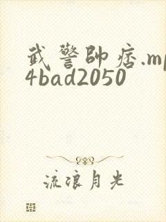 武警帅痞.mp4bad2050