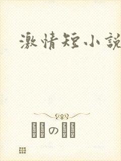 激情短小说封面