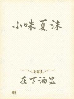 小咪夏沫封面