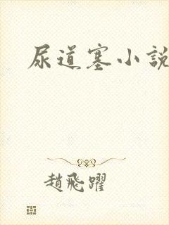 尿道塞小说