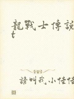 龙战士传说txt