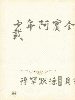少年阿宾全集下载