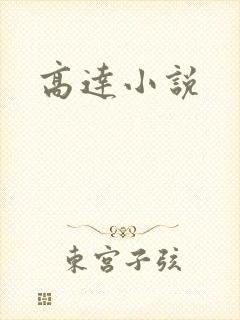 高达小说