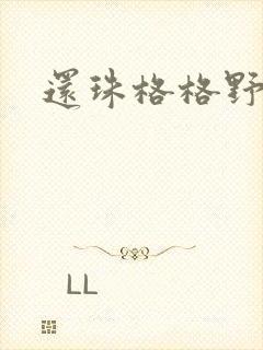 还珠格格野传封面
