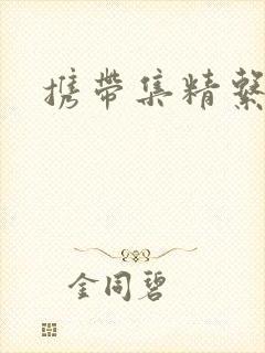 携带集精系统