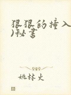 狠狠的撞入(h)秘书