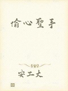 偷心圣手