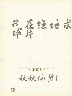我在绝地求生捡碎片