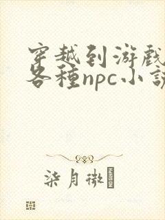 穿越到游戏里和各种npc小说