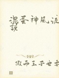 混蛋神风流史小说