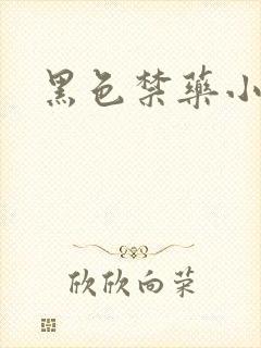黑色禁药小说