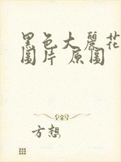 黑色大丽花真实图片 原图封面