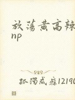 放荡黄高辣h文np