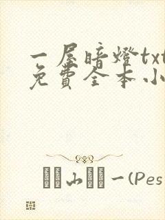 一屋暗灯txt免费全本小说电子书