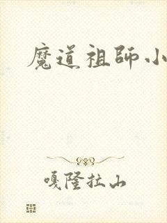 魔道祖师小说封面
