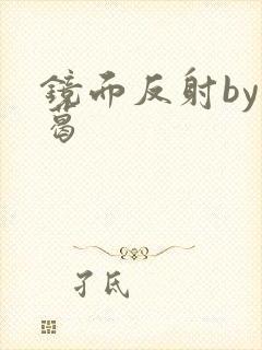 镜面反射by九葛封面