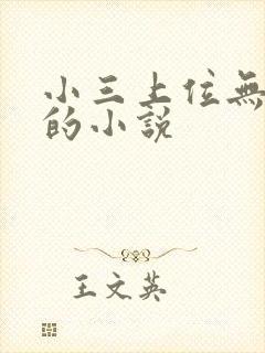小三上位无三观的小说封面