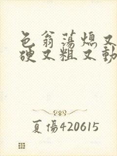 色翁荡熄又大又硬又粗又动态图