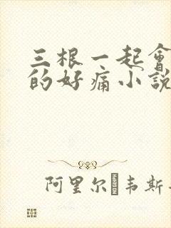 三根一起会坏掉的好痛小说