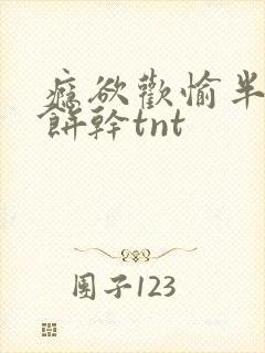 瘾欲欢愉半块小饼干tnt封面