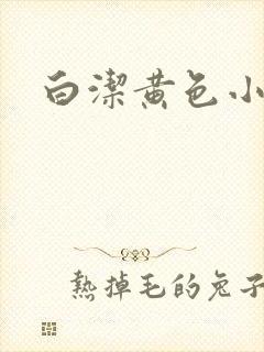 白洁黄色小说