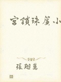 宫锁珠帘小说
