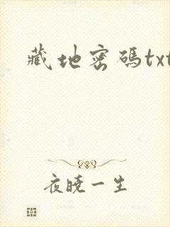 藏地密码txt